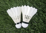 九游娱乐入口-丹麦羽毛球队力克印尼羽毛球队，谌龙制霸全场