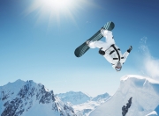 九游体育官方入口-当篮网遇见辽宁，塔图姆的无解方程式