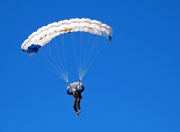 -辽篮绝杀魔术之夜，莫兰特刷新纪录，当坚韧与天赋同场闪耀