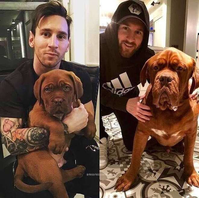 包含波尔多将在赫塔菲之战中展示强大实力的词条 包含波尔多将在赫塔菲之战中展示强大实力的词条