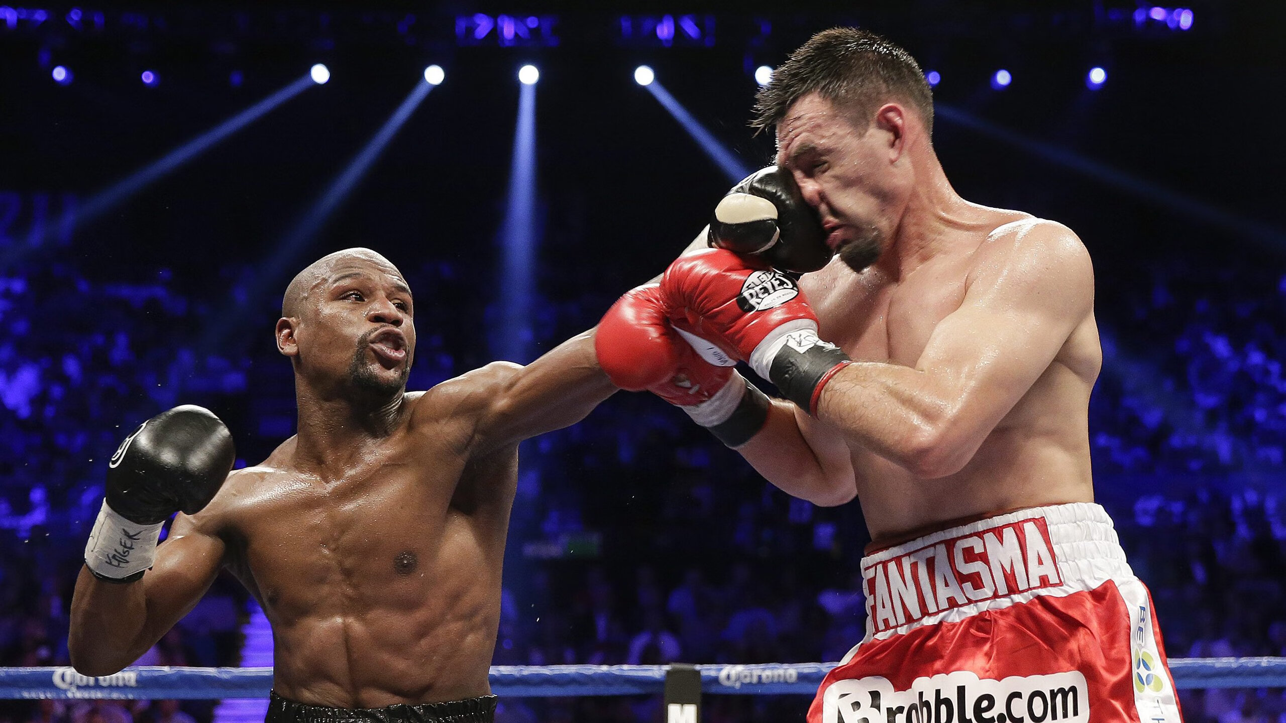 福克斯加冕夜,国王轻取鹈鹕,全能数据诠释现代控卫统治力